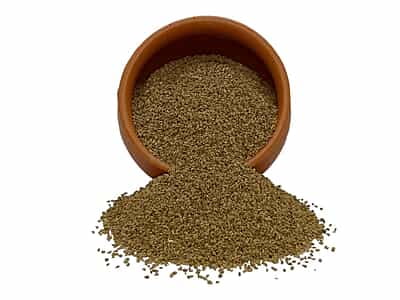 Organic Ajwain