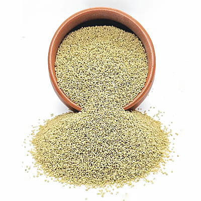 Organic Browntop Millet