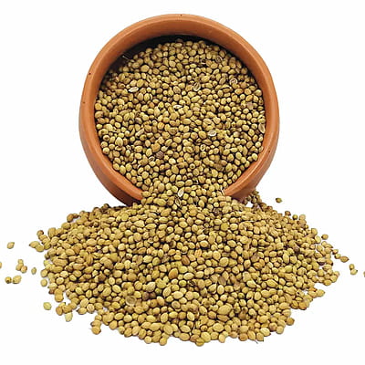 Organic Coriander Seeds-100 g