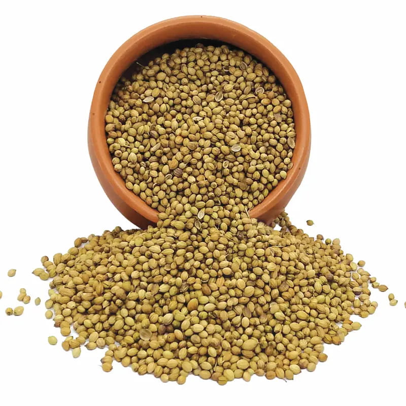 Organic Coriander Seeds-100 g