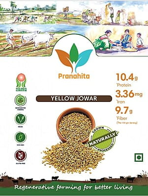 Organic Yellow Jowar