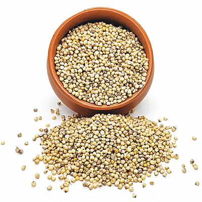 Organic Jowar