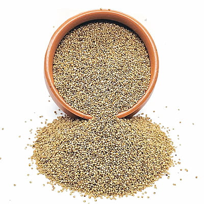 Organic Kodo Millet