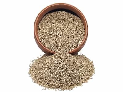 Organic Little Millet