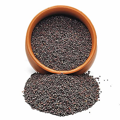 Organic Mustard Seeds-100 g