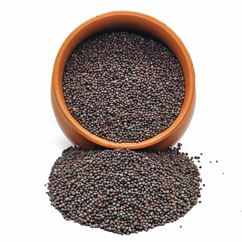 Organic Mustard Seeds-100 g Organic Mustard Seeds-100 g