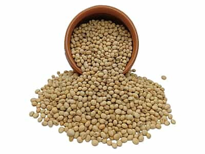 Organic Soya Bean