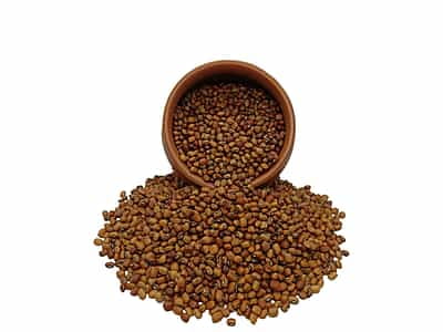 Organic Cowpea Black Eye
