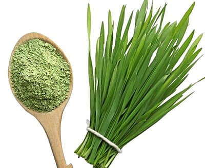 Organic Wheat Grass Powder-100 g