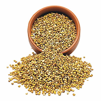 Organic Yellow Jowar